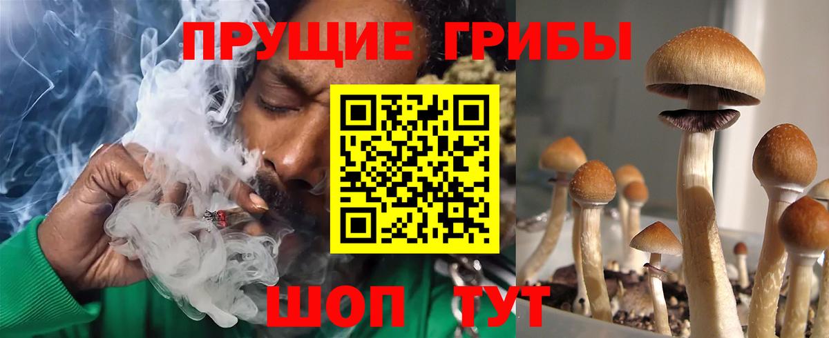 Чайковский  Псилоцибиновые грибы GOLDEN TEACHER  Вход с VPN 